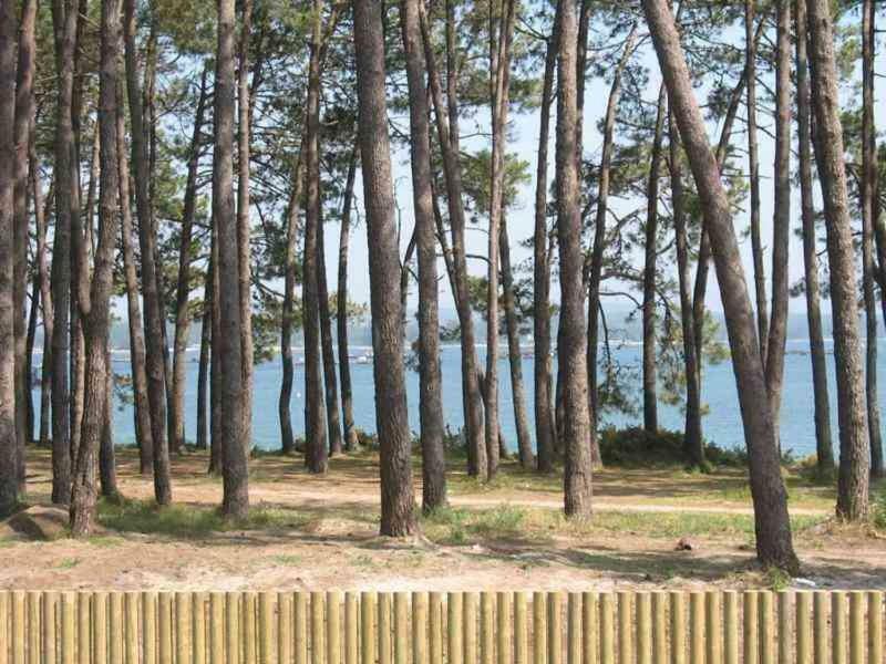Apartamento Playa A Illa de Arousa Exterior foto